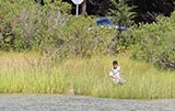 A boy in the grass at second bridge